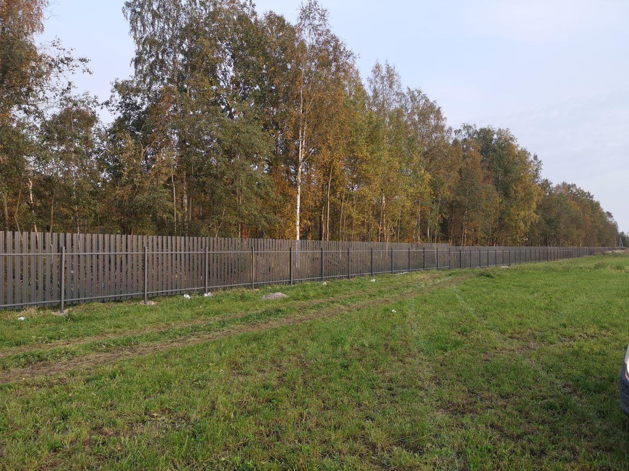 фасадный забор со стороны Колтушского шоссе